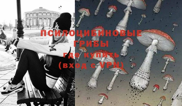 ешки Абаза
