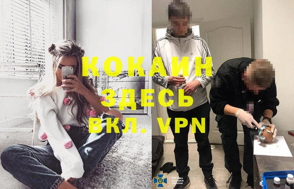 стафф Алзамай