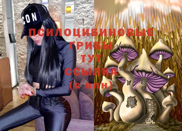 ешки Абаза