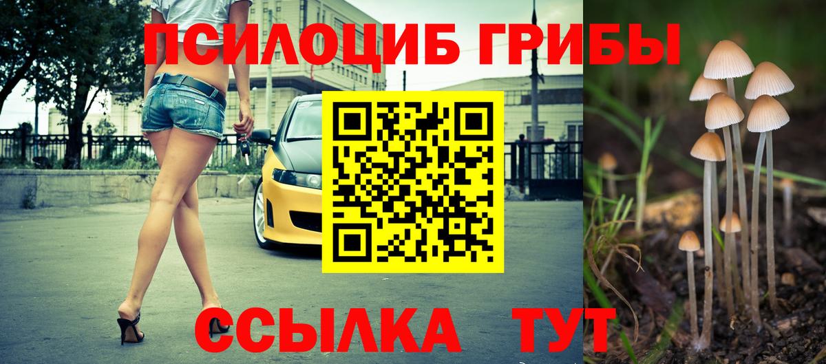 Псилоцибиновые грибы GOLDEN TEACHER Каменск-Уральский